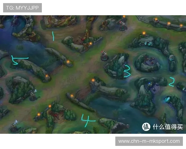 LoL辅助视野布控与团战站位训练：制胜的关键技巧全攻略