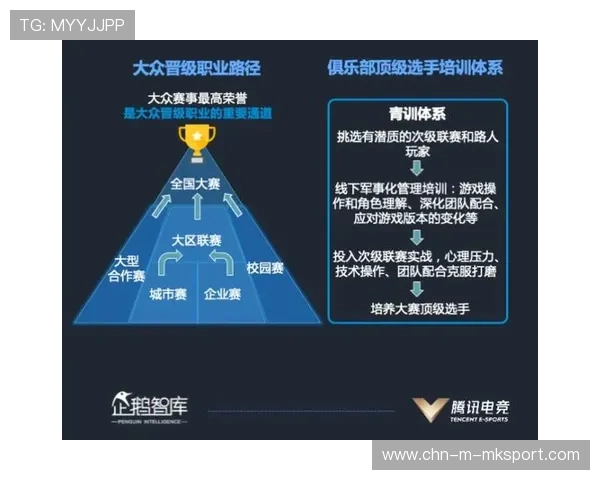 国字号青训项目出新政，未来人才池受益显著